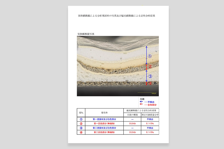 分析結果報告書